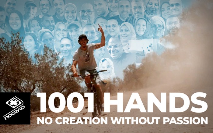 1001 hands2